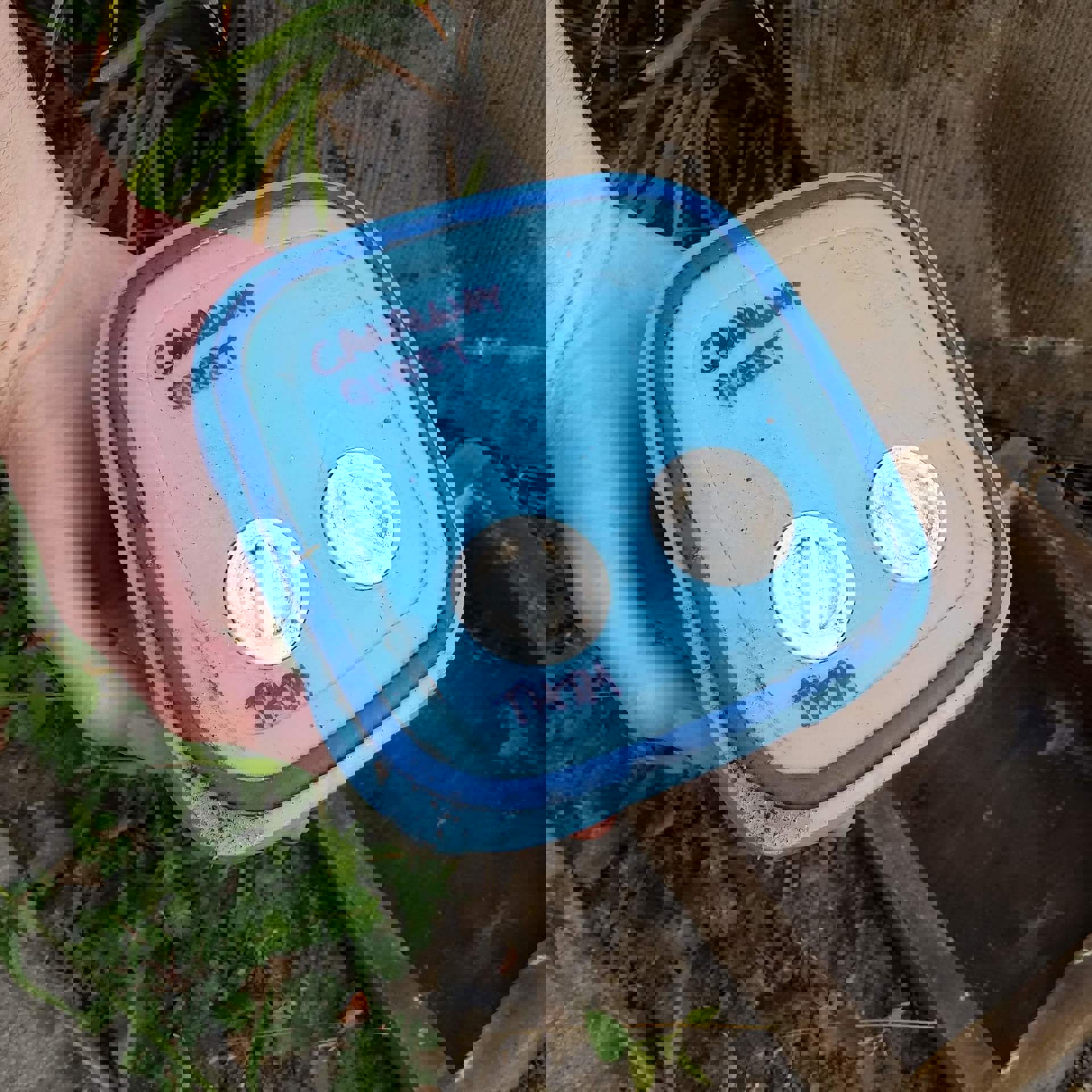questingbox.jpg questingbox.jpg