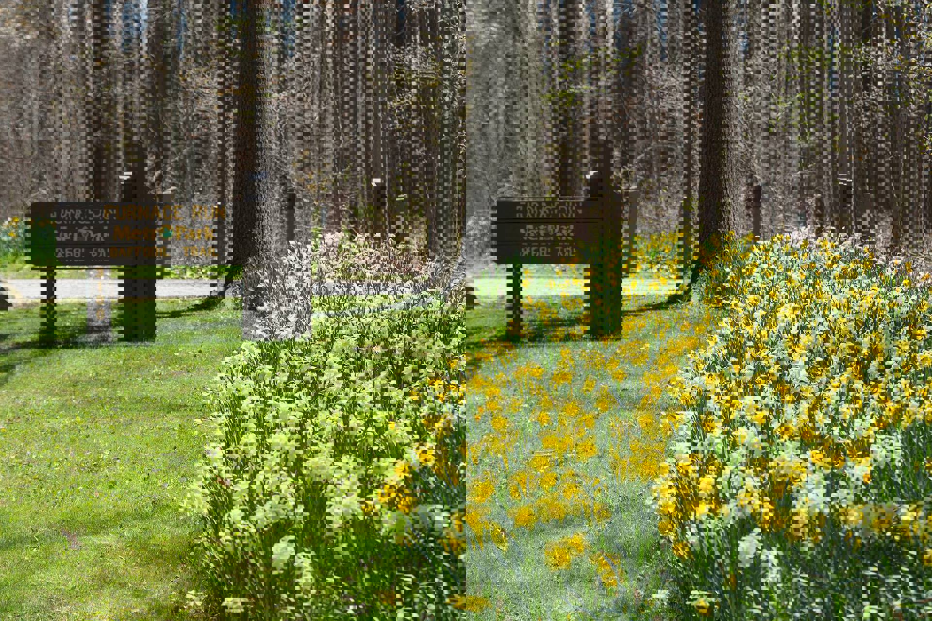 Daffodil Trail Furnace Run 1